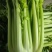 【实力推荐】芹菜大量上市可对接商超市场量大从优