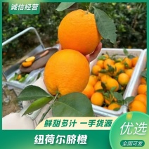 【精品】纽荷尔脐橙湖北橙子基地直供皮薄多汁欢迎致电