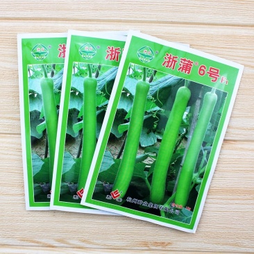 浙蒲6号瓠瓜种子，浙蒲9号，长短瓠种子，耐低温，抗病强