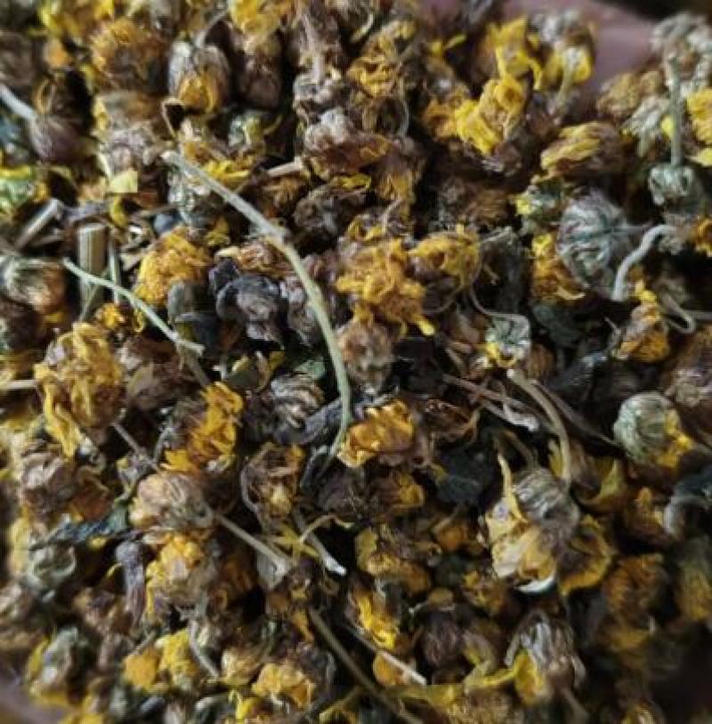 河南野菊花品质保证产地直发可视频看货欢迎咨询