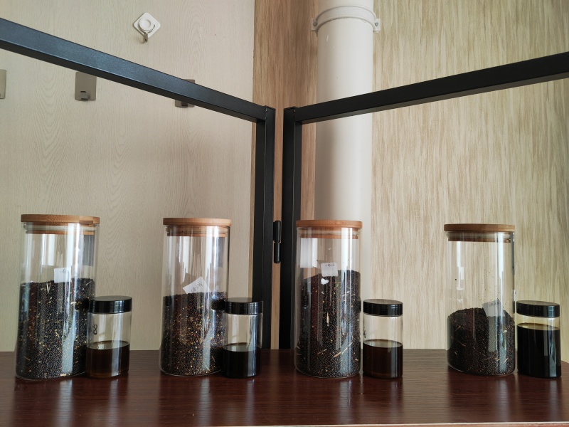 【俄罗斯油菜籽】工厂直发货源充足量大从优欢迎订购
