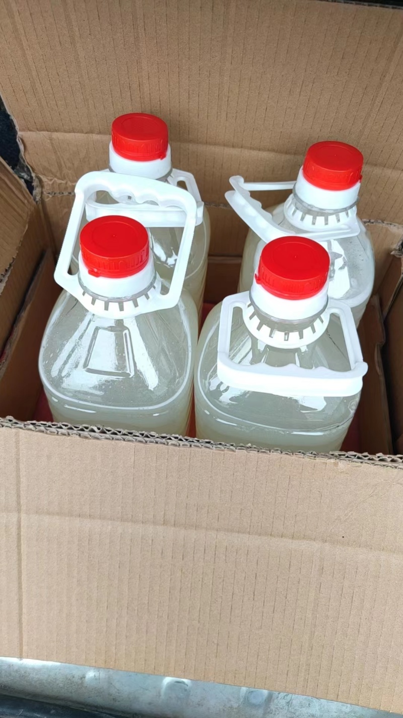 酒酿米酒一件代发多规格浓厚醇香品质保证量大从优欢迎咨询