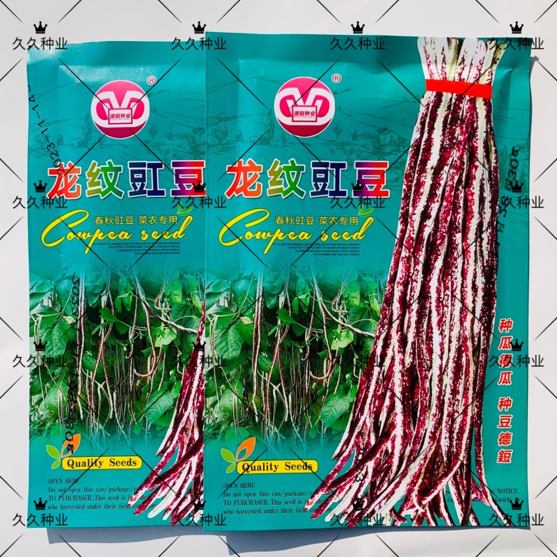 龙纹豇豆种子花皮豇豆长豆角种籽架豆春秋季播农家田园蔬菜种