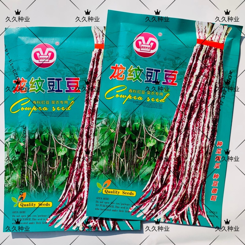 龙纹豇豆种子花皮豇豆长豆角种籽架豆春秋季播农家田园蔬菜种