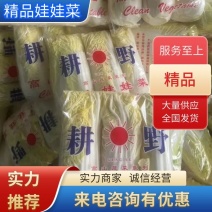 【推荐】河北精品娃娃菜产地供应质量保证欢迎来电咨询