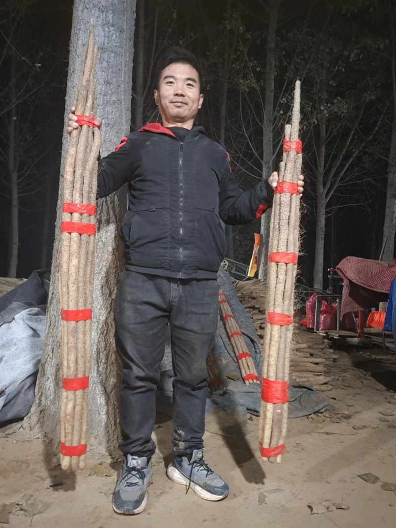 【精品山药】河北山药邯郸山药白玉山药一手货源咨询价优