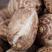 云南高原红土牛奶毛芋头，品质好，价格合适，货品量充足