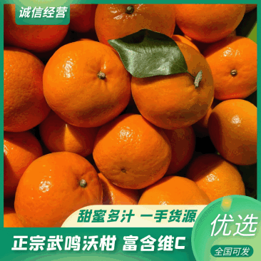 《畅销》正宗广西沃柑大量上市；产地直发可一件代发对接全国