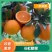 夏橙皮毛光滑漂亮果园看货，规格齐全，口感甜化渣。