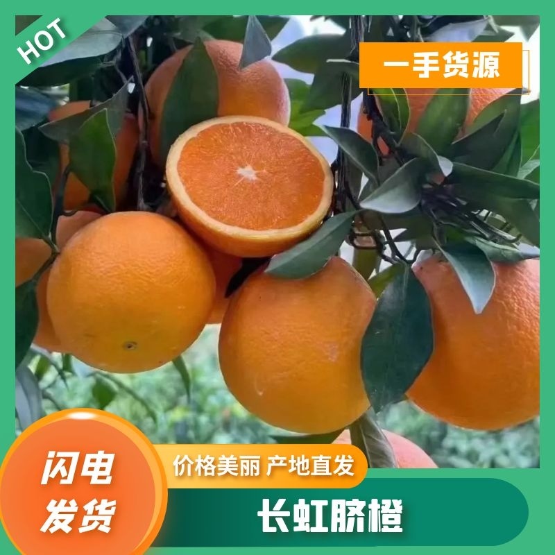 夏橙皮毛光滑漂亮果园看货，规格齐全，口感甜化渣。