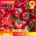 串果西红柿，穗番茄，产地供应，日供万斤，可视频看货质量好