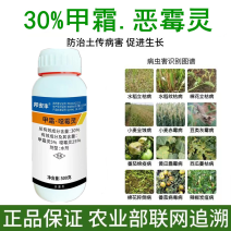 30%甲霜恶霉灵土传病害立枯根腐病猝倒病茎基腐病枯萎病