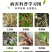 30%甲霜恶霉灵土传病害立枯根腐病猝倒病茎基腐病枯萎病