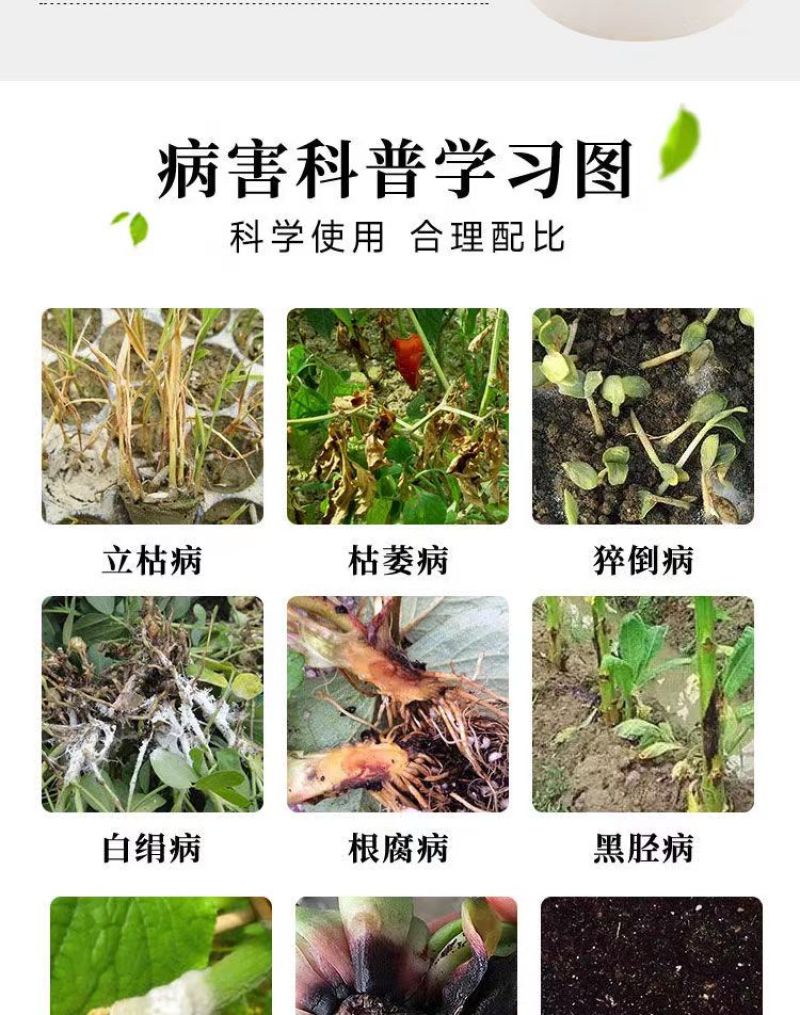 30%甲霜恶霉灵土传病害立枯根腐病猝倒病茎基腐病枯萎病