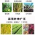 30%甲霜恶霉灵土传病害立枯根腐病猝倒病茎基腐病枯萎病