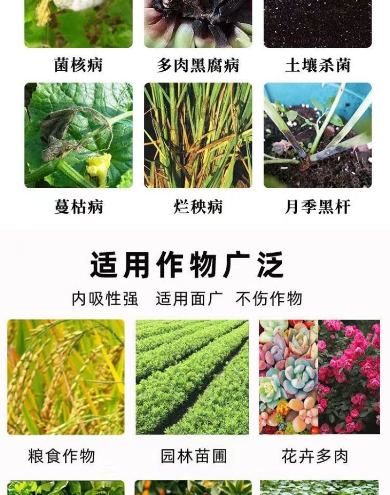30%甲霜恶霉灵土传病害立枯根腐病猝倒病茎基腐病枯萎病