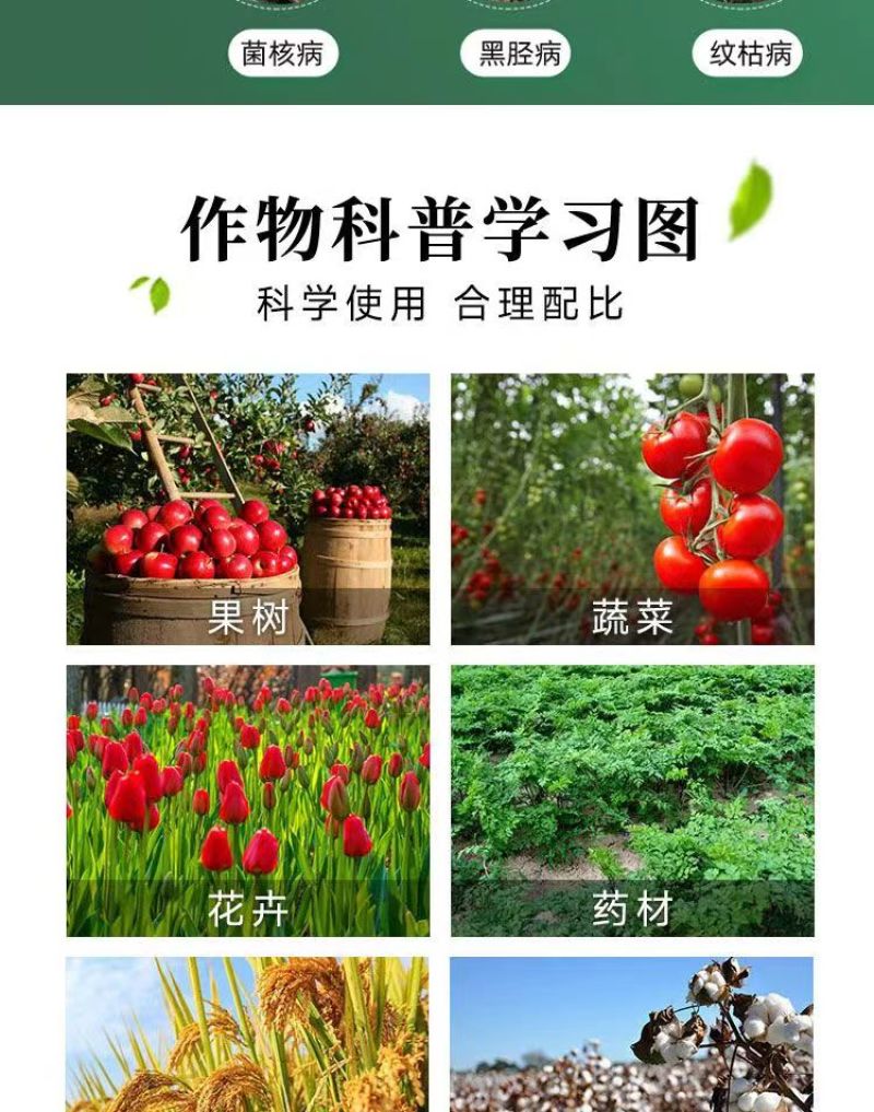 30%甲霜恶霉灵土传病害立枯根腐病猝倒病茎基腐病枯萎病