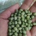 【青豆】大量供应山东产地直发质量保证一手货源欢迎订购