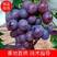 河北卢龙县玫瑰香葡萄苗种植基地一手货源价格稳定发货