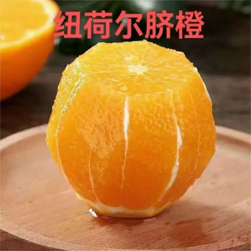 桃源县纽荷尔脐橙，皮薄肉多颜色靓，物美价廉，欢迎来电采购
