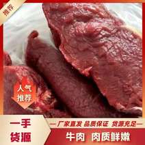 内蒙古草原牛肉货源充足产地直供可视频欢迎订购