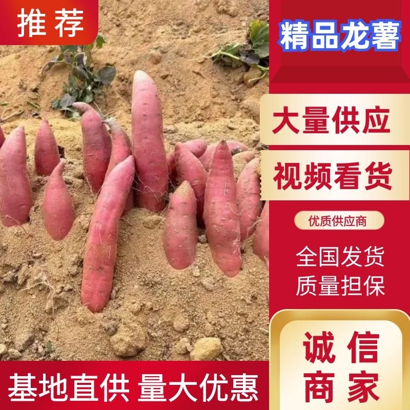湖北精品沙地龙暑，产地直发一手货源，承电商团购，市场商超