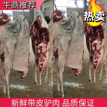 【驴肉】带皮驴肉现杀现发可视频看货品质保证欢迎咨询
