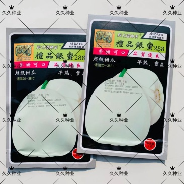 礼品银蜜288白甜瓜种子薄皮白皮香瓜春夏季庭院农家