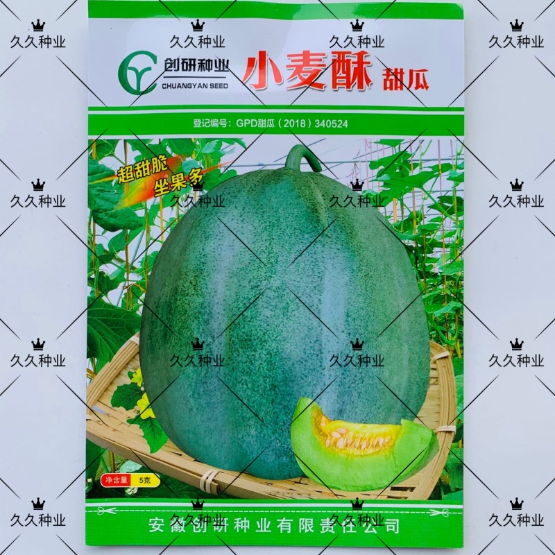 小麦酥甜瓜种子超甜脆坐果绿皮多绿肉香花糖分高抗病好耐重茬