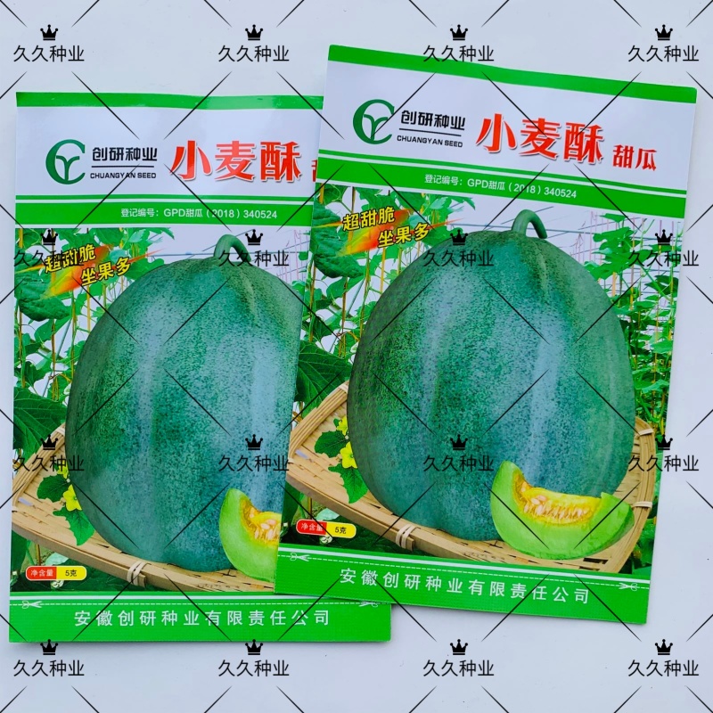 小麦酥甜瓜种子超甜脆坐果绿皮多绿肉香花糖分高抗病好耐重茬