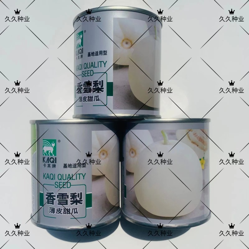 卡其香雪梨薄皮甜瓜种子冰糖美玉早熟超甜白皮白肉甜瓜香瓜种