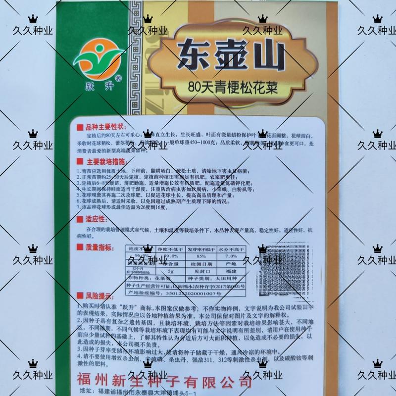 东壶山80天青梗松花菜种子高产抗病优质白花菜种籽农家春秋
