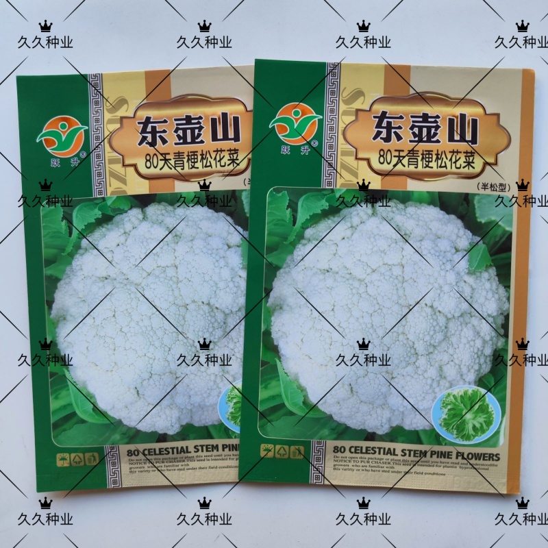 东壶山80天青梗松花菜种子高产抗病优质白花菜种籽农家春秋