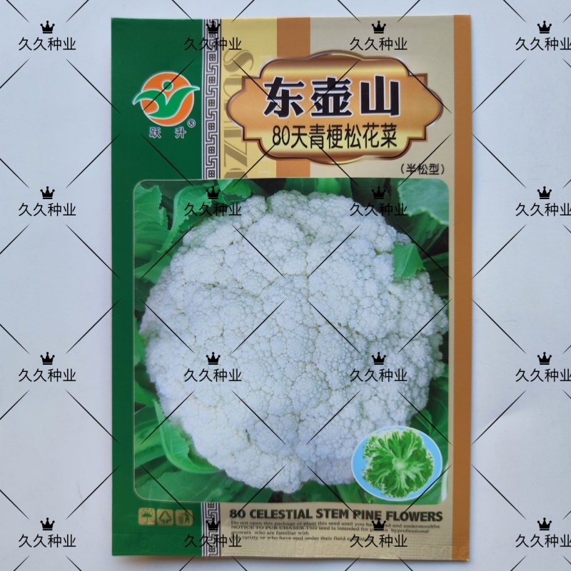东壶山80天青梗松花菜种子高产抗病优质白花菜种籽农家春秋