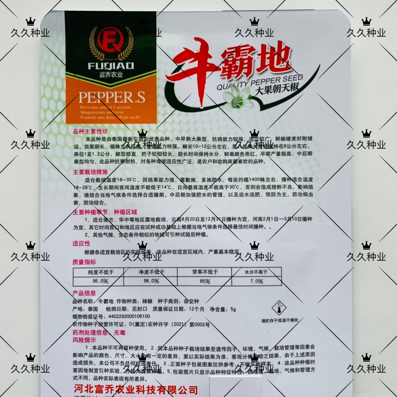 牛霸地辣椒种子大果朝天椒种子农户基地专用品种抗寒耐热