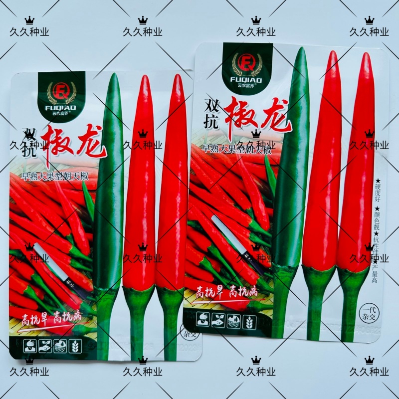 富乔双抗椒龙辣椒种子大果朝天椒超级大号雷神朝天椒种子