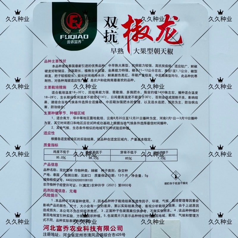 富乔双抗椒龙辣椒种子大果朝天椒超级大号雷神朝天椒种子