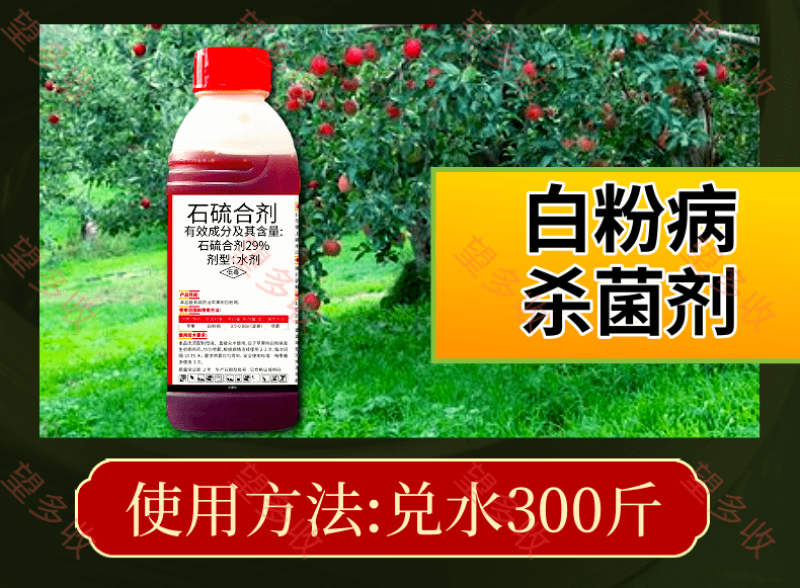 石硫合剂29%清园杀菌剂白粉病防虫防病害用1千克正品