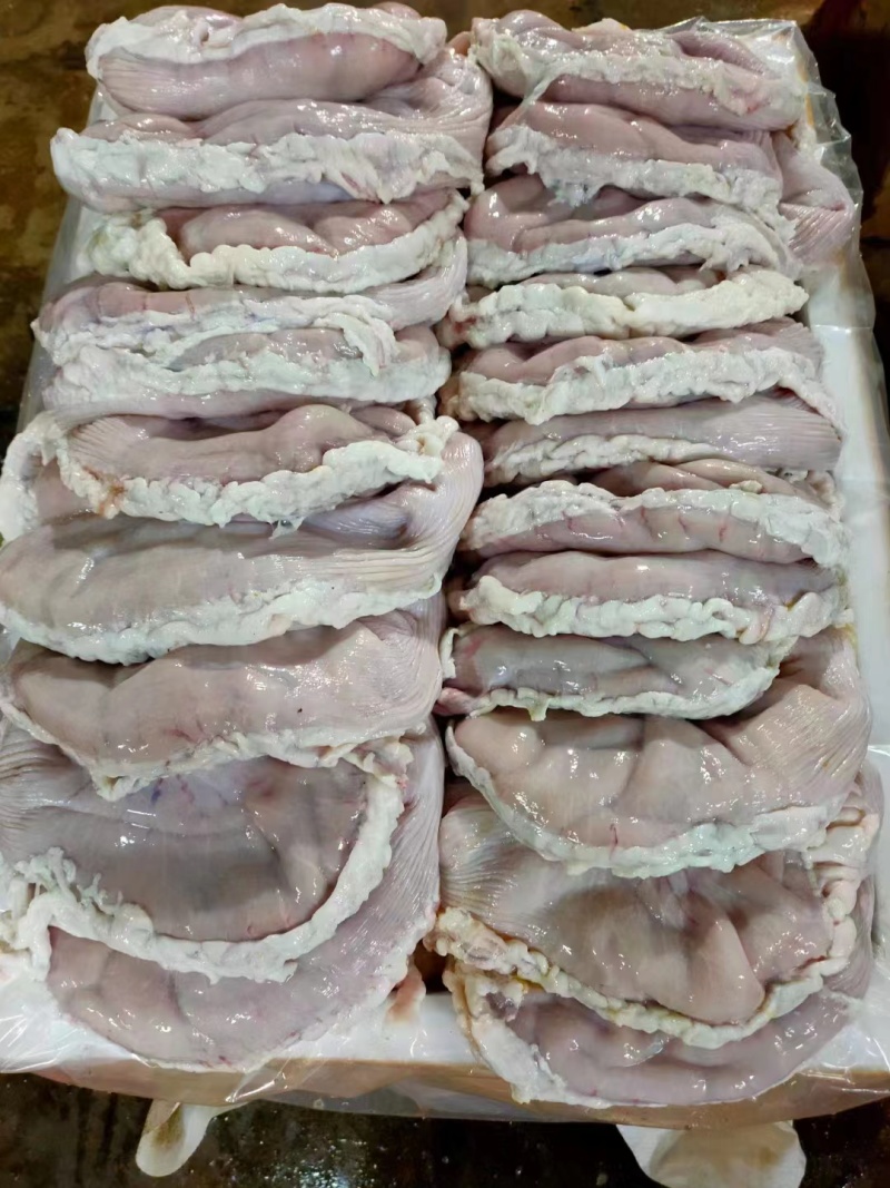 深圳鲜品猪肚，厂家直发，品质保证，量大从优，视频看货
