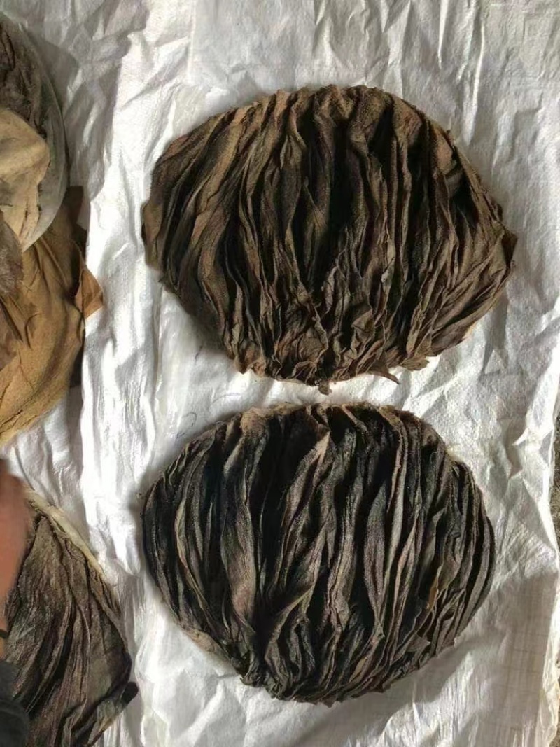 牛百叶大量现货价格优惠量大从优欢迎电话联系