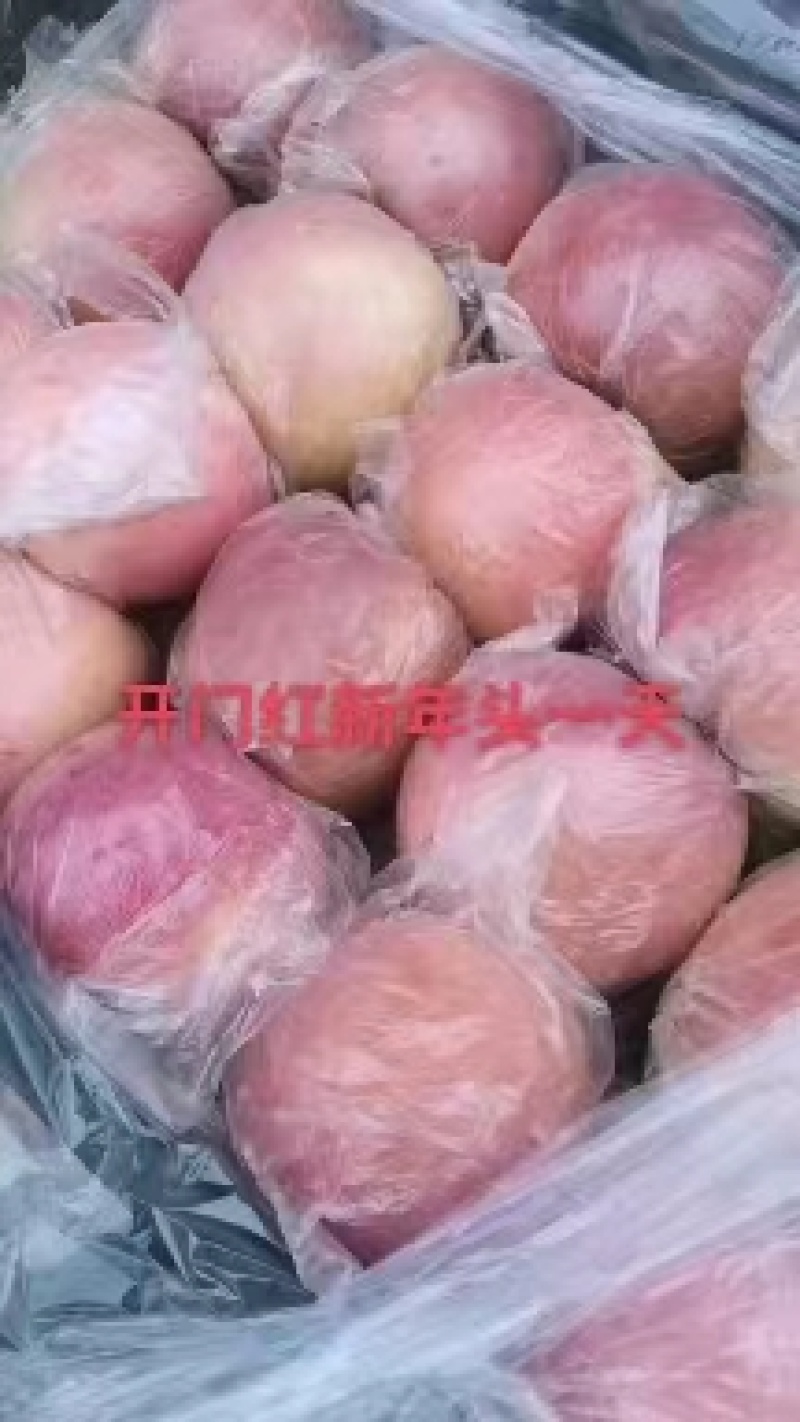 【精品】膜袋红富士苹果，质量保证，产地直发货量充足欢迎选购