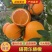 【优质】橙子/纽荷尔脐橙/湖北宜昌纽荷尔脐橙/供应电商