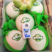 江苏东台精品玉菇甜瓜一手货源支持全国代发质量保证