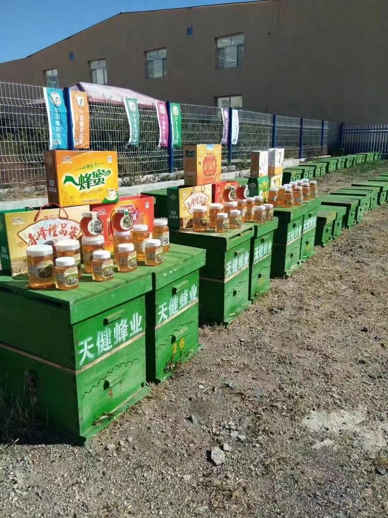 赤峰特产黄芪蜜稀有蜂蜜产量不高品质保证，欢迎来电选购！