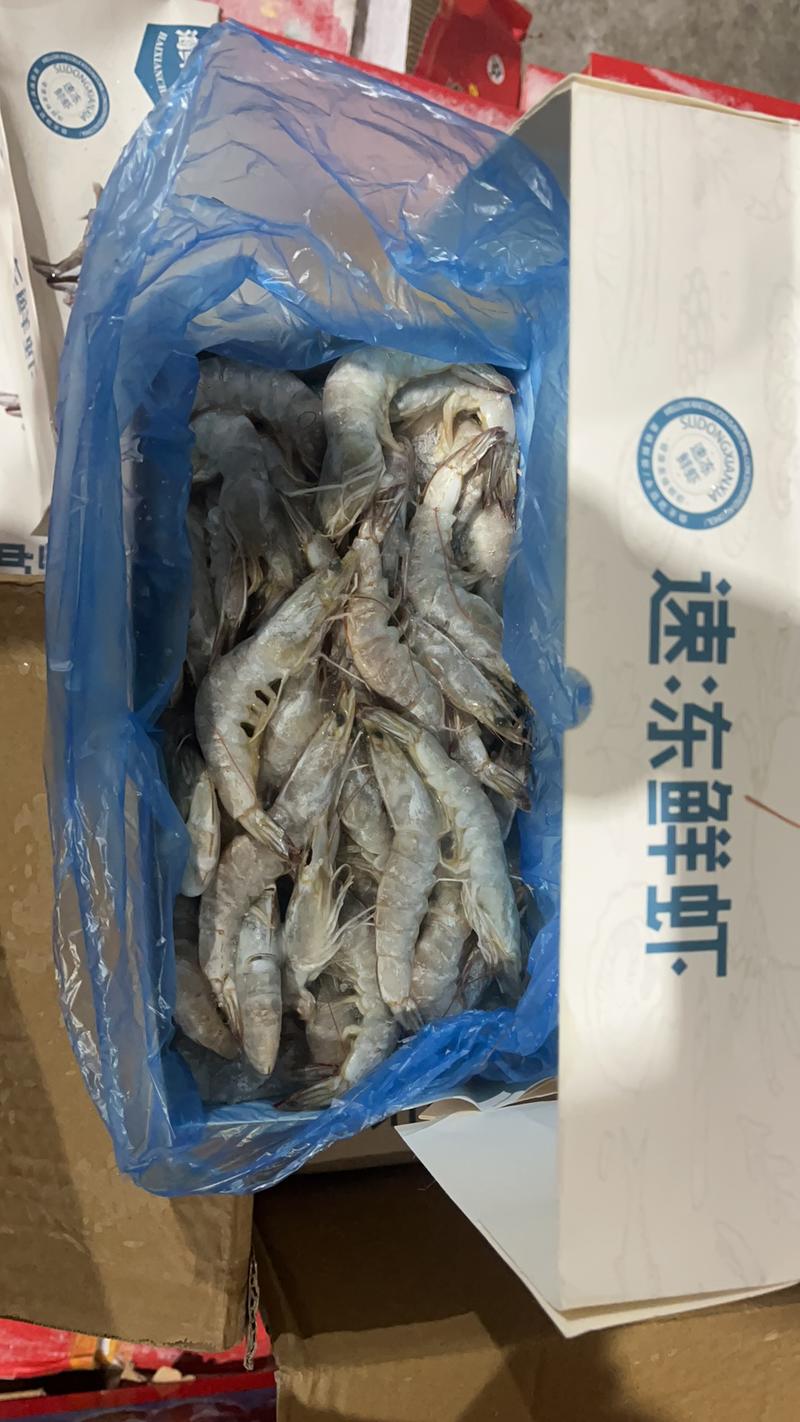 【精品】对虾大量现货供应规格齐全一手货源欢迎合作