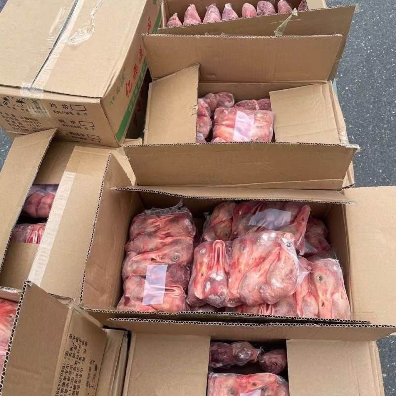 精选山东鸭头新鲜冷冻精选大头整箱批发量大从优欢迎咨询