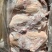 山东精品白条鸭850-2500克肉质鲜美规格齐全商用批发