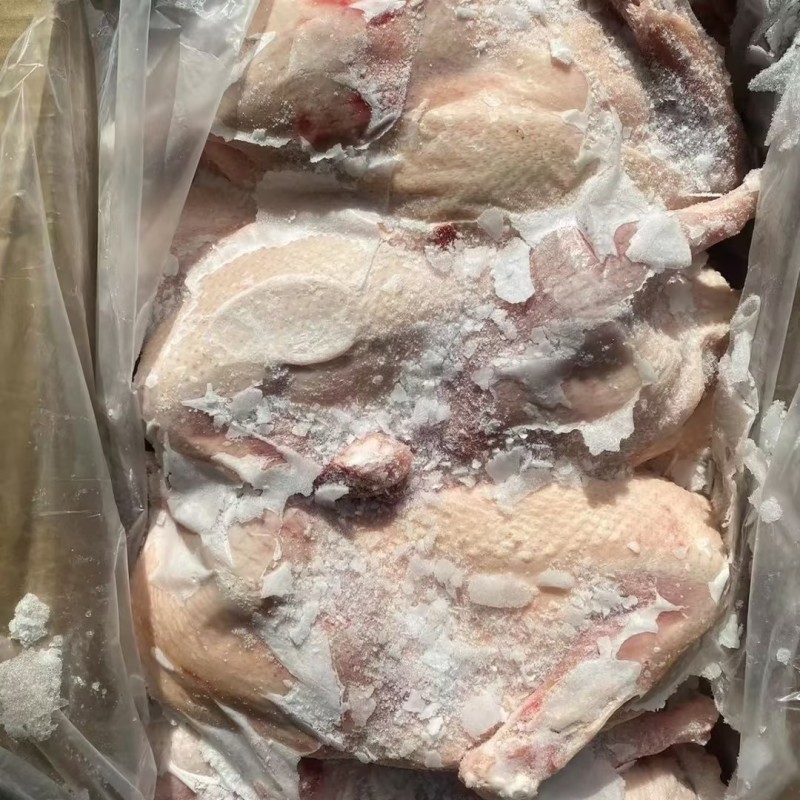山东精品白条鸭850-2500克肉质鲜美规格齐全商用批发