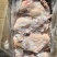 山东精品白条鸭850-2500克肉质鲜美规格齐全商用批发