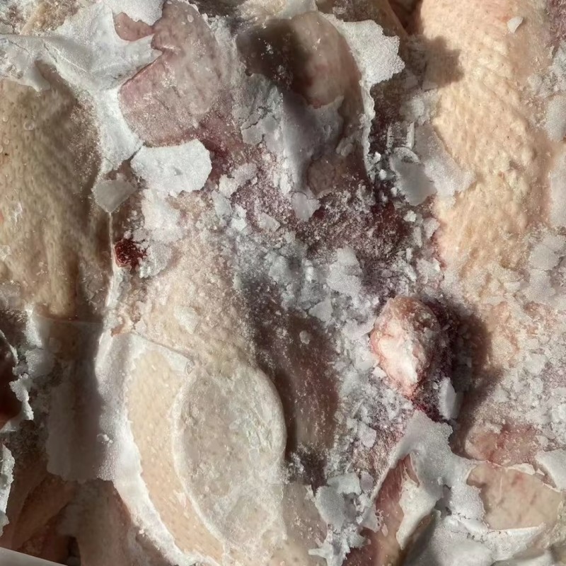 山东精品白条鸭850-2500克肉质鲜美规格齐全商用批发